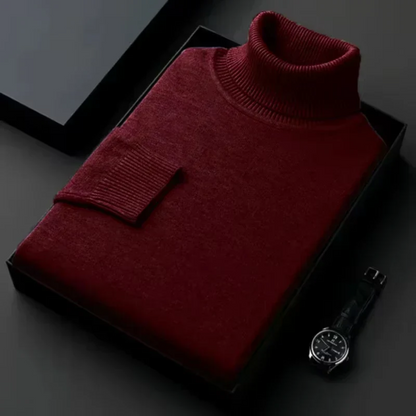 Alioth Cashmere Turtleneck