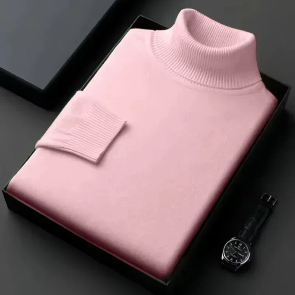Alioth Cashmere Turtleneck