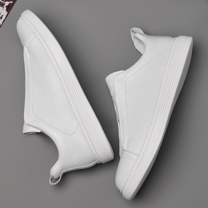 Stylish Leather Shoes